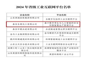 泰安圣奧入選2024年山東省省級(jí)工業(yè)互聯(lián)網(wǎng)平臺(tái)名單
